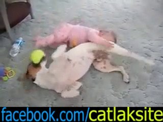 Köpek Çocuğu Öyle Tatlı Güldürüyorki