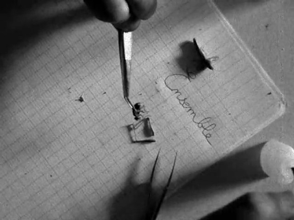 [Battle 2010] William - Ensemble