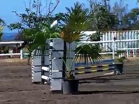 21.11.10 - CSO club à EMR - prépa 60 - SavannahSham