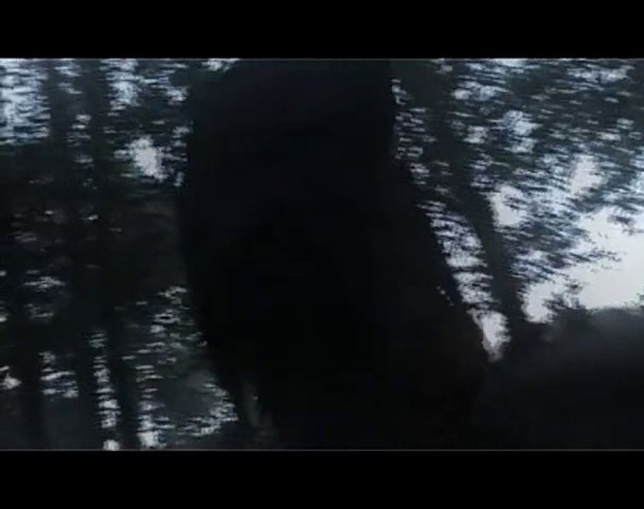 [Battle 2010] Mc fly prod - Camping Sauvage -