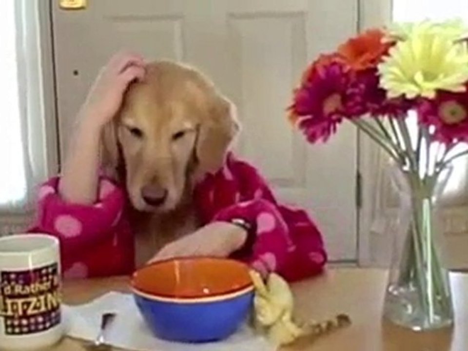 BreakfastWithGinger