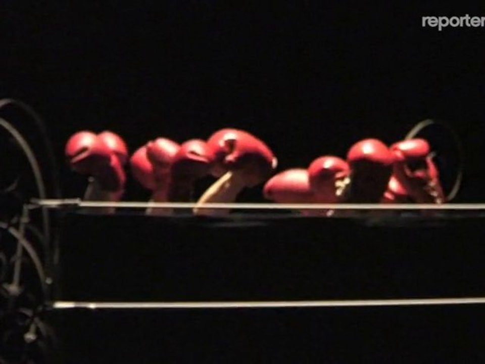 La boxe, le hip-hop et Ravel