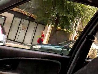 Pastor aleman belga...Yuka