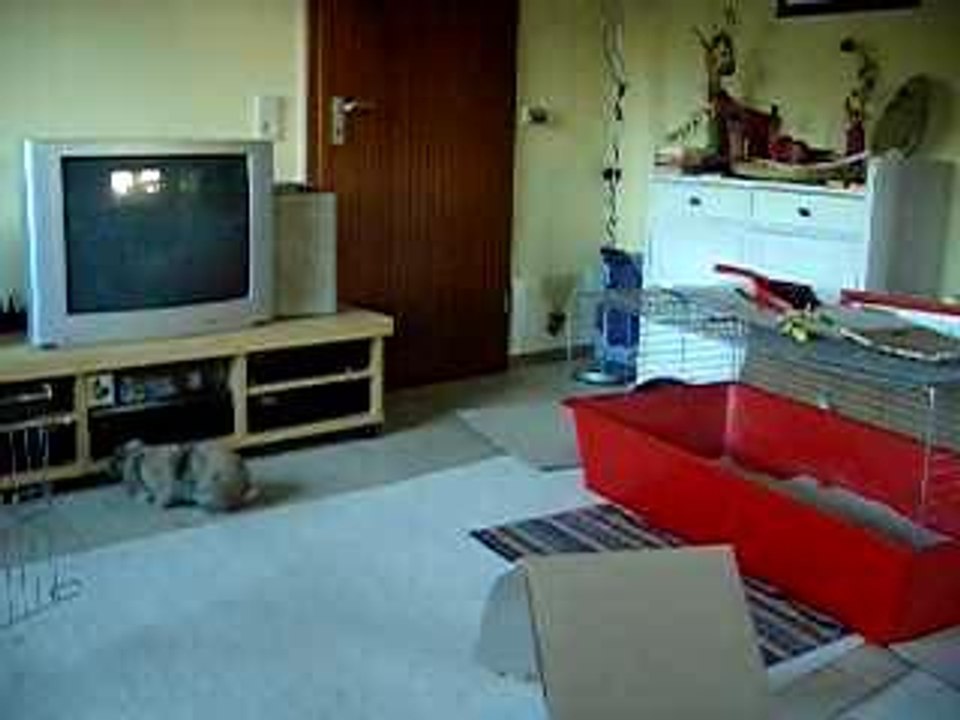 Der ganz normale Wahnsinn_1