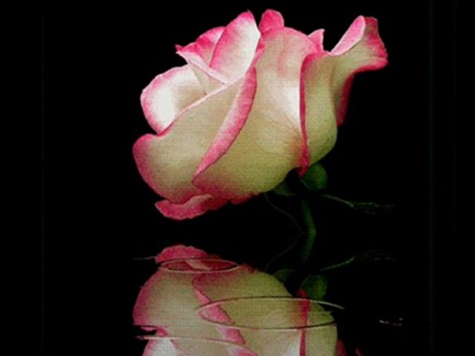 Instrumental Turkish Music - Şarkılar Seni Söyler