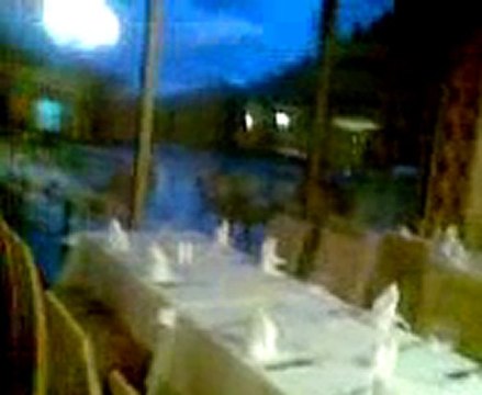 İstanbul, İzmir, Ayvalık, Çeşme, Foça, Kuşadası, Selçuk, Efes, Bergama İngilizce-Norvecce Profesyonel Kokartlı Turist Rehberi, Sinan Tortum Kaya Izmir Hotel Restaurant