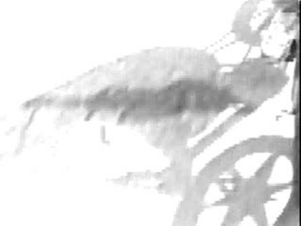 Vuela Vuela - La Sonora Dinamita