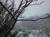 neige 25 novembre 2010