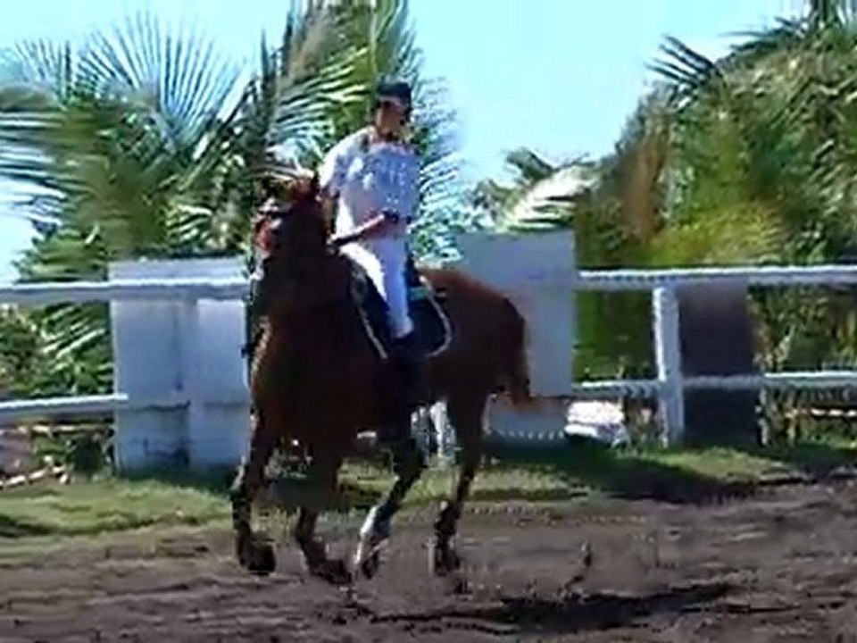 21.11.10 - CSO club  EMR - prépa 60 - AngelineHérold