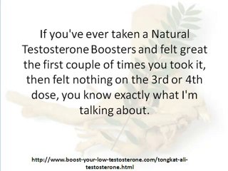 Boost Testosterone & Libido with Tongkat Ali