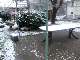 PREMIERE NEIGE EN ALSACE 26 NOVEMBRE 2010 .