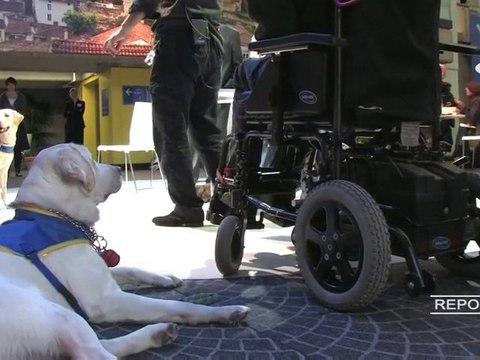 reportage : La dépendance et les aidants