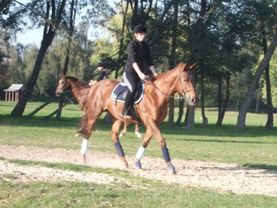 Une vie , Une passion : l'équitation