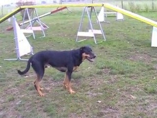 Sam extérieur Hanches