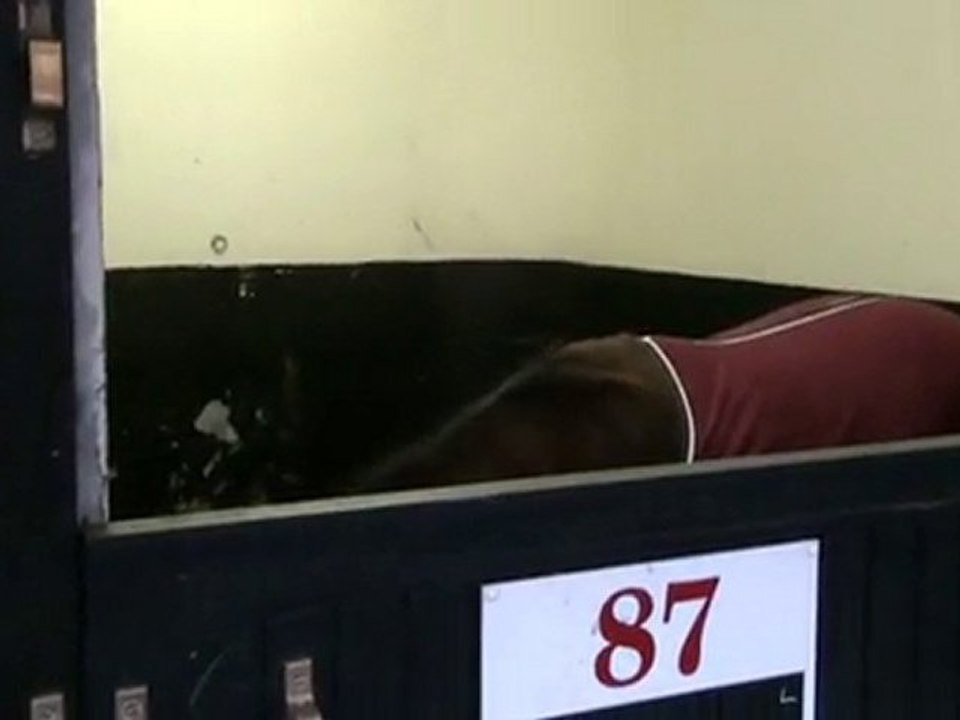 REBELLE D'ORGERES DE RETOUR