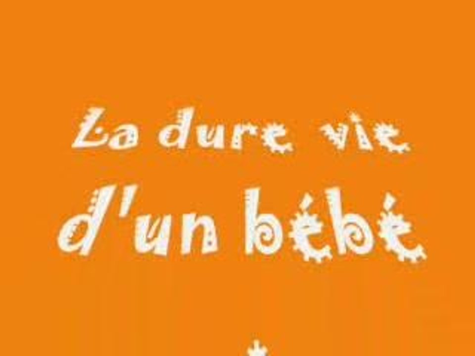 le 1er 4 pattes