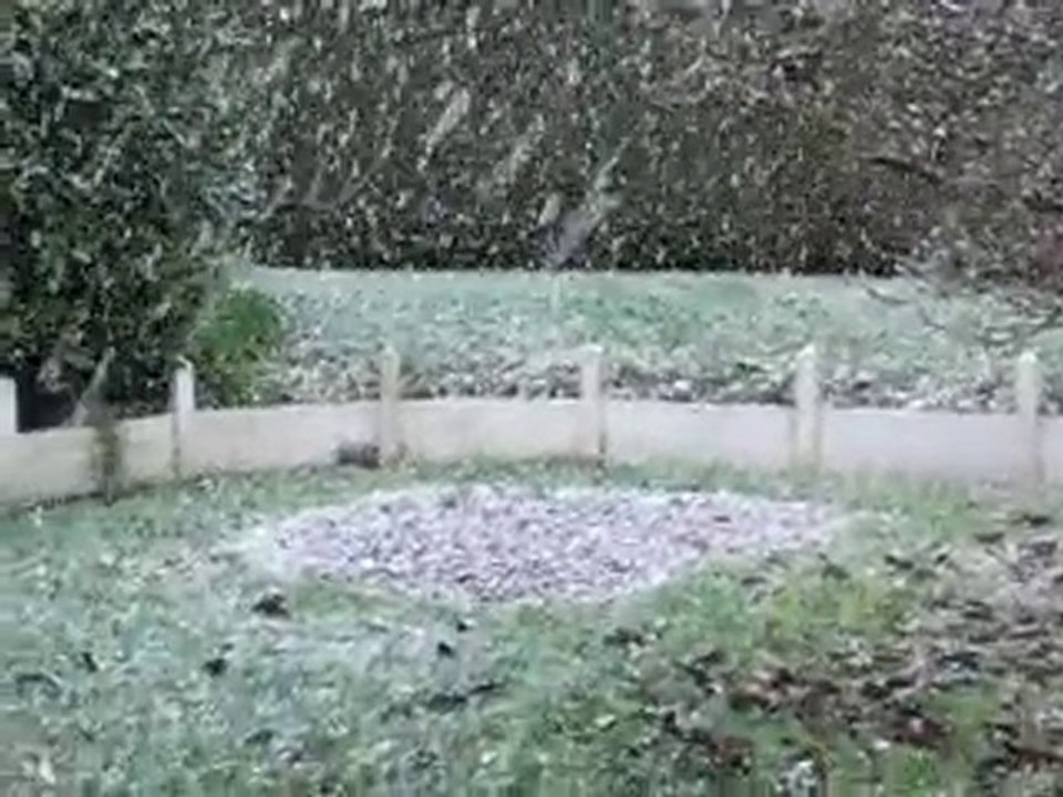 neige 019