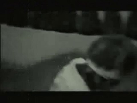 SeLen Ft Azat - ÖzLedim Seni 2010