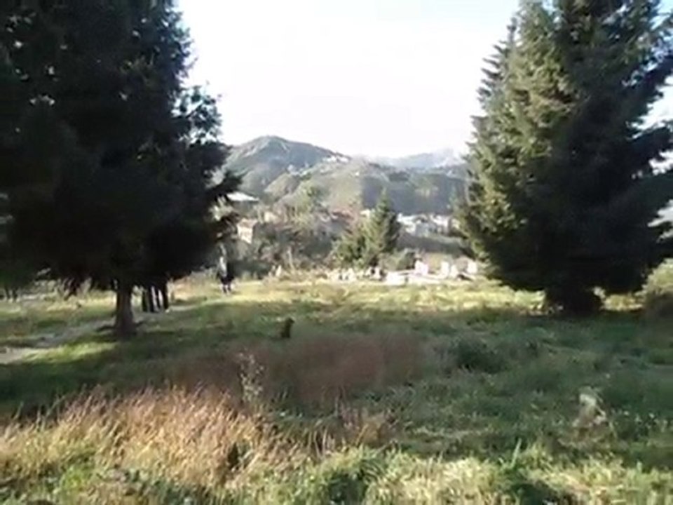 MOV00196