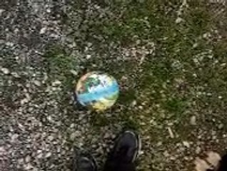 Chien qui joue ( ma didi )