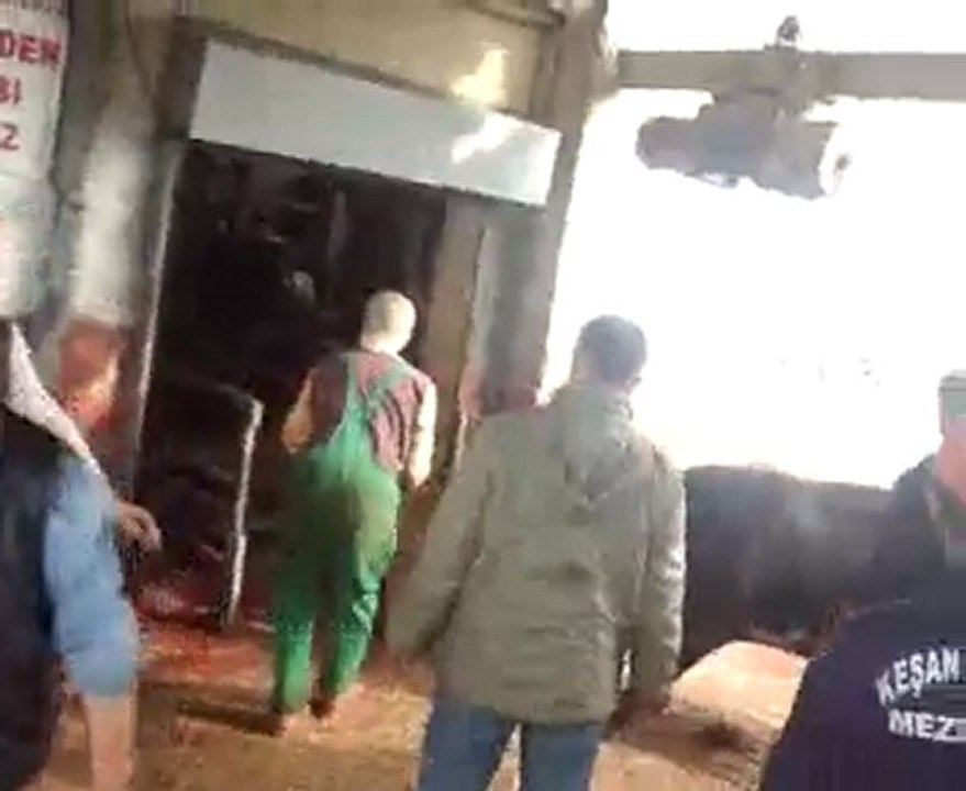 video-2010-11-16-11-40-45