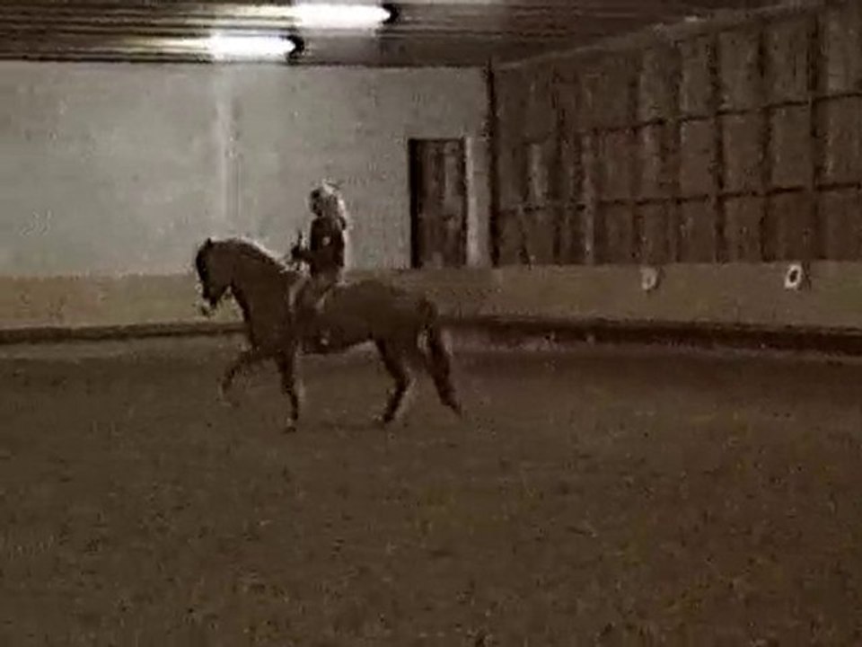 Franky halle nov 2010