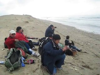 video 01 nov mer agitée