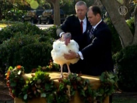Барак Обама помиловал двух индеек