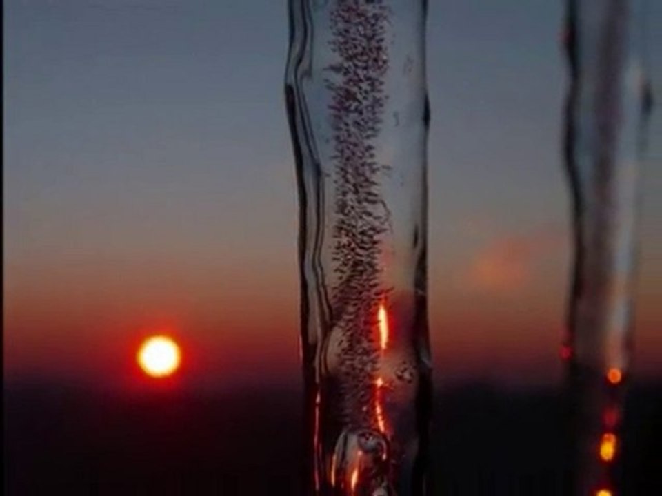 IVANKA KRAŠEVEC bele rože iz aten