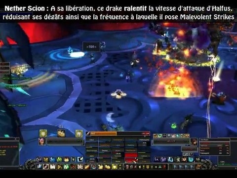 WoW : Millenium vs Halfus