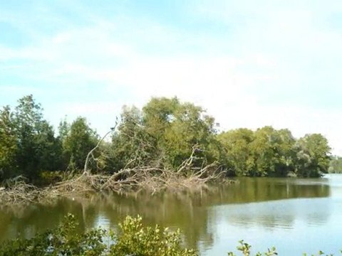 le lac d'Ardres