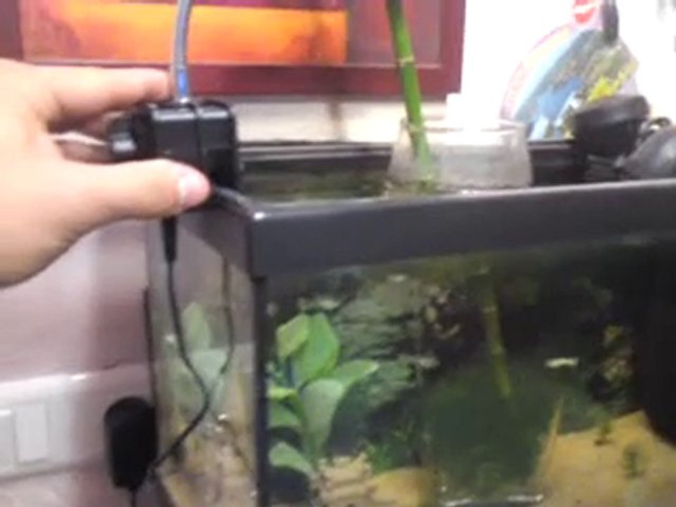MOV01138