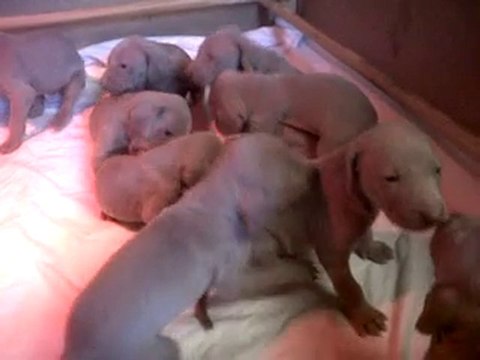 VID 00010-20101127-1146