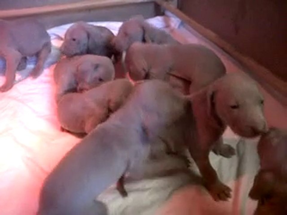 VID 00010-20101127-1146