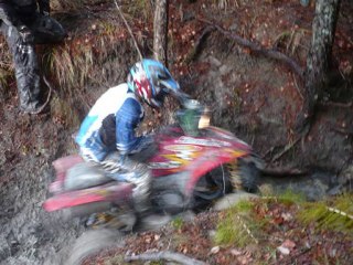 La ferme de Milou 2010