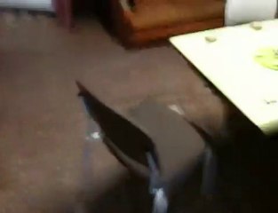 Sortie de l'école vers la ludothèque