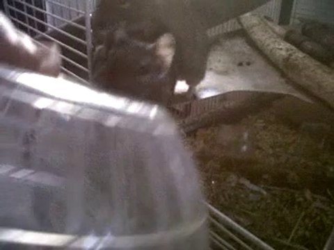 VID 00006-20101127-1315