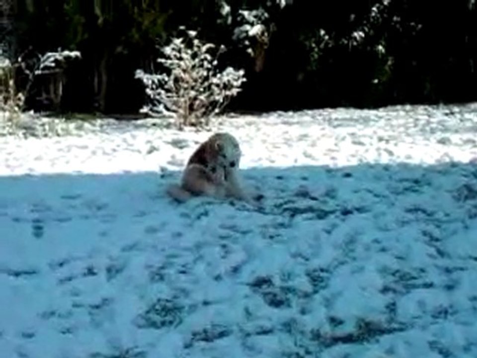 Vidéo0026