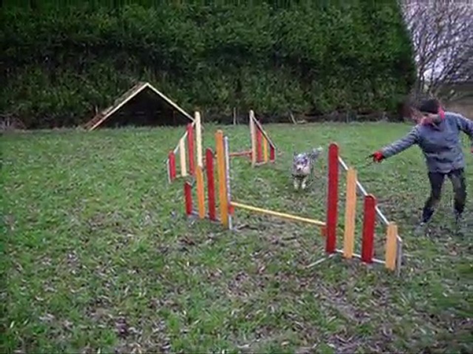 Agility