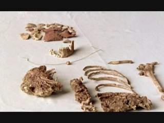 Adventures In Human Evolution Ep.1 Of 6 – Contact (part 2/3)