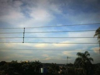 CHANSON SUR DES OISEAUX - Google Vidéos2