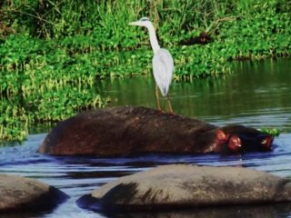 RED ONE Digital Cinematography Showreel / High Definition