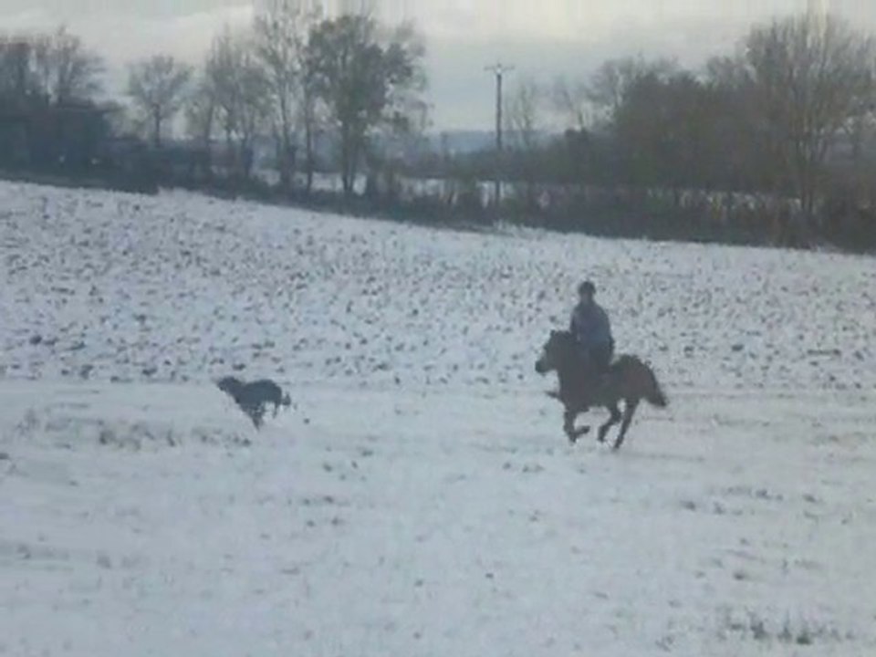 Galop plein cul avec mon chien
