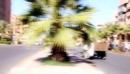 WPT Marrakech 2010 : bande-annonce