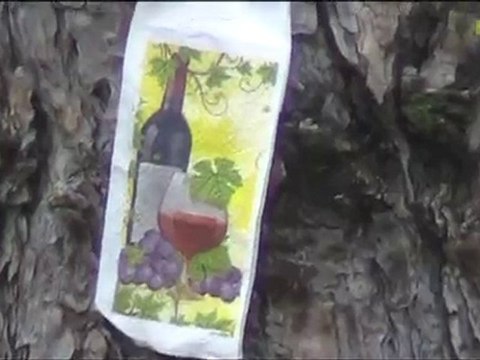 Празник на виното 2010