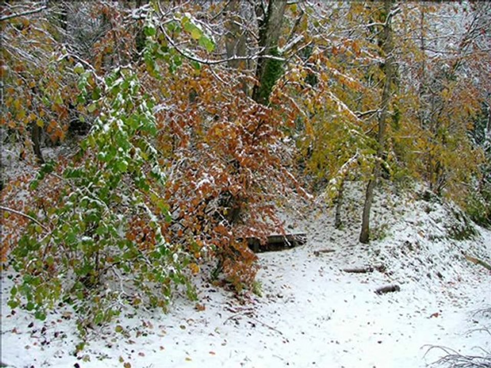 Neige le 27 novembre 2010