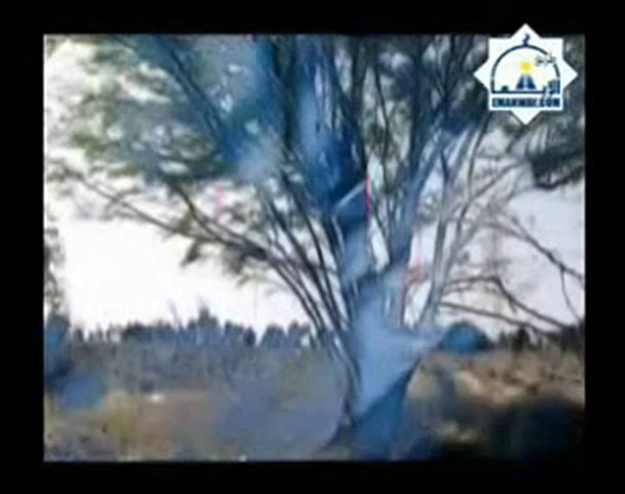 La Mort 2/6-Nabil Al 3iwadi