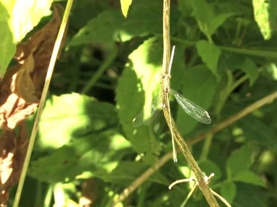 Parc du Marquenterre