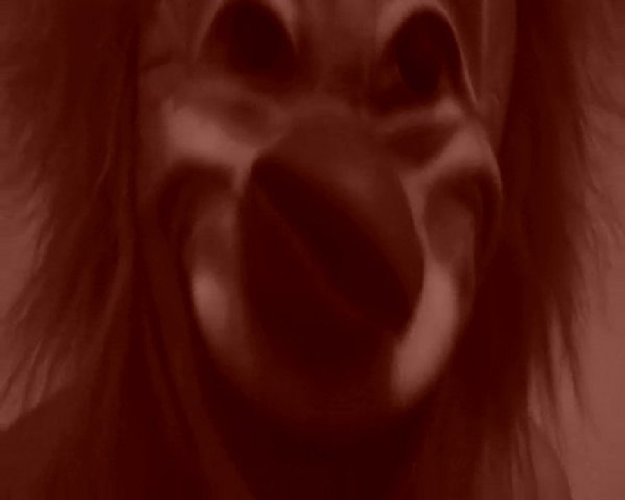 sarkozy falsificateur des chiffres des comptes de l'état