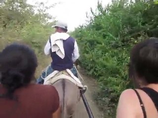 Balade en charrette dans le campo nord-peruvien